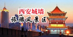 欧美日全裸日逼中国陕西-西安城墙旅游风景区