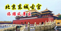 抽查动态图中国北京-东城古宫旅游风景区